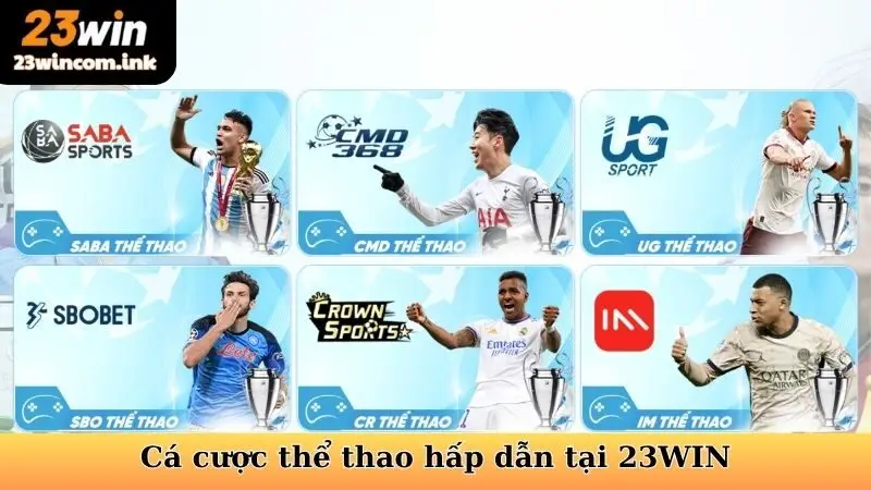 Cá Cược Thể Thao